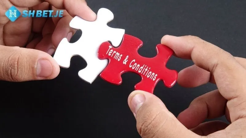 điều khoản Shbet