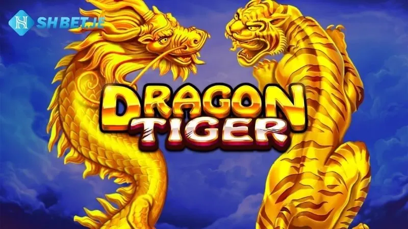 Rồng Hổ: Kinh Nghiệm Chơi Dragon Tiger Từ Chuyên Gia